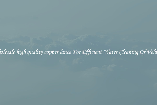 Wholesale high quality copper lance For Efficient Water Cleaning Of Vehicles