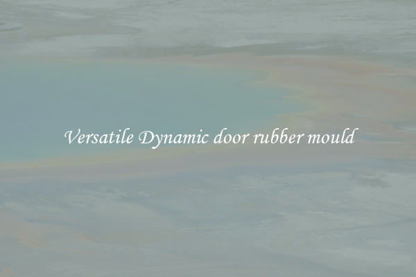 Versatile Dynamic door rubber mould