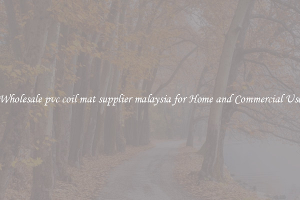 Wholesale pvc coil mat supplier malaysia for Home and Commercial Use