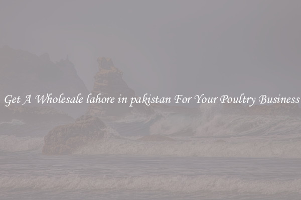 Get A Wholesale lahore in pakistan For Your Poultry Business