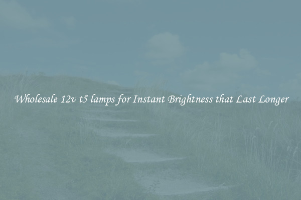 Wholesale 12v t5 lamps for Instant Brightness that Last Longer