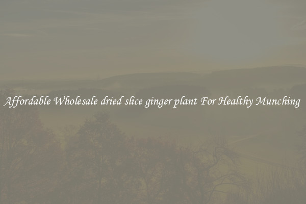 Affordable Wholesale dried slice ginger plant For Healthy Munching 