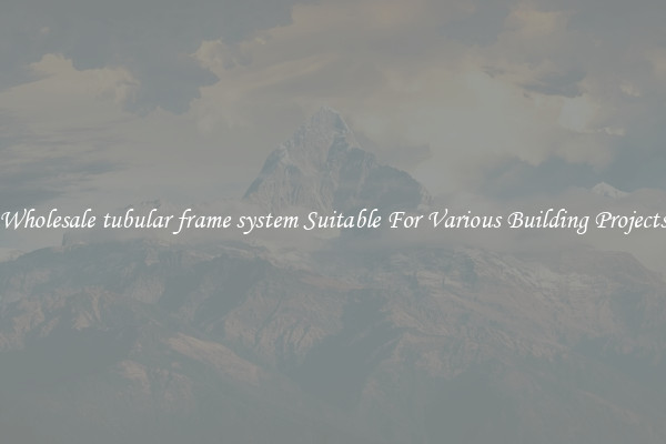 Wholesale tubular frame system Suitable For Various Building Projects