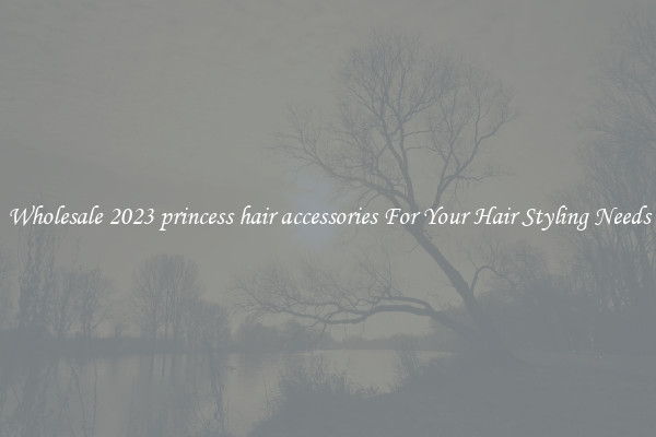 Wholesale 2023 princess hair accessories For Your Hair Styling Needs