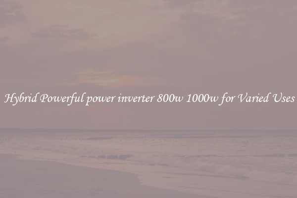 Hybrid Powerful power inverter 800w 1000w for Varied Uses
