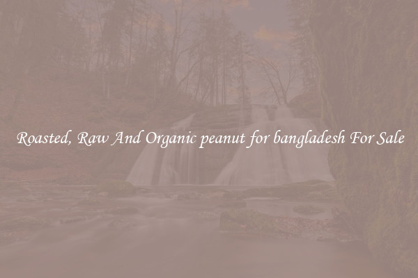 Roasted, Raw And Organic peanut for bangladesh For Sale