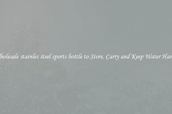 Wholesale stainles steel sports bottle to Store, Carry and Keep Water Handy