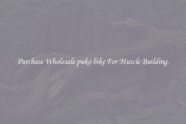 Purchase Wholesale puko bike For Muscle Building.