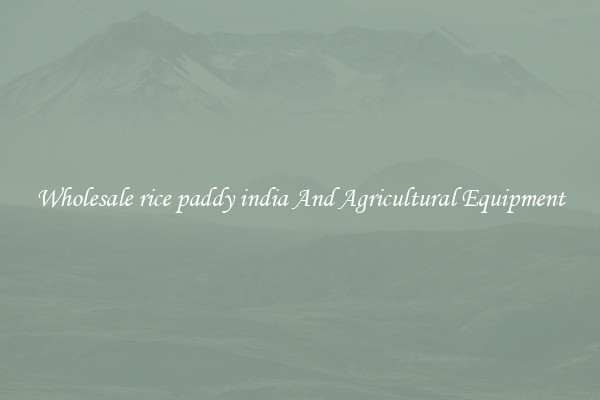 Wholesale rice paddy india And Agricultural Equipment