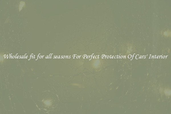 Wholesale fit for all seasons For Perfect Protection Of Cars' Interior 