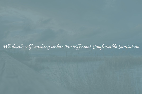 Wholesale self washing toilets For Efficient Comfortable Sanitation