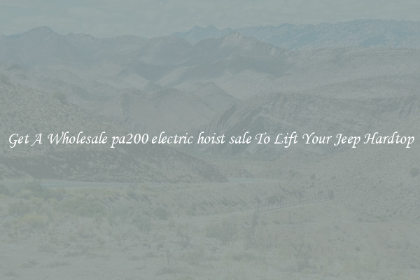 Get A Wholesale pa200 electric hoist sale To Lift Your Jeep Hardtop
