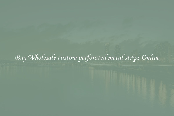 Buy Wholesale custom perforated metal strips Online