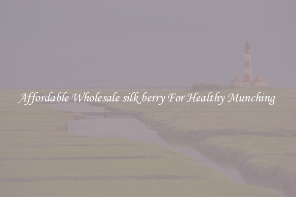 Affordable Wholesale silk berry For Healthy Munching 