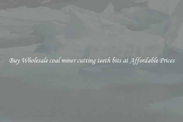Buy Wholesale coal miner cutting teeth bits at Affordable Prices