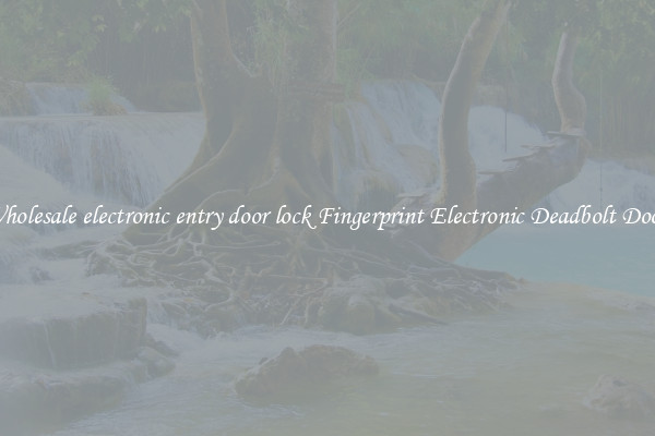 Wholesale electronic entry door lock Fingerprint Electronic Deadbolt Door 