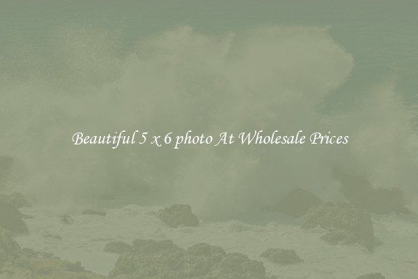 Beautiful 5 x 6 photo At Wholesale Prices