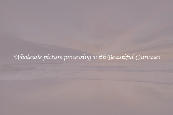 Wholesale picture processing with Beautiful Canvases